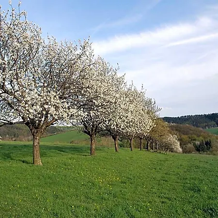 Relaxing Watermill Hideaway Hotel Heringen (Hersfeld-Rotenburg)