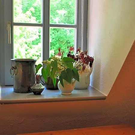 Relaxing Watermill Hideaway Hotel